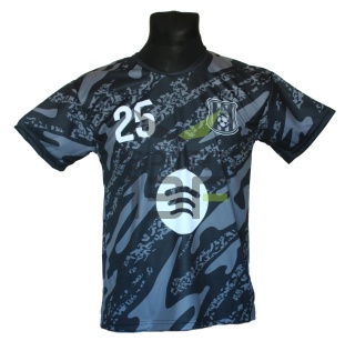 koszulka SZCZĘSNY t-shirt dla dziecka BARCELONA szary SK